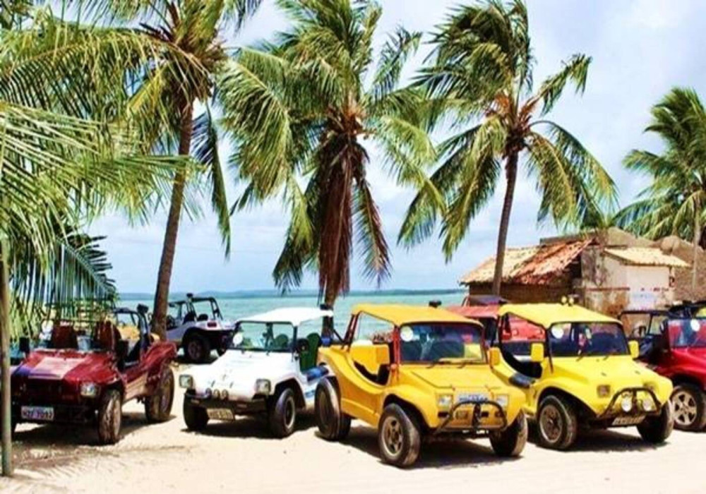 Private Tour to Mangue Seco: Dunes, Sea, and Wild Nature