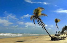Your Tour Brazil6