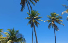 Your Tour Brazil19