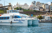 Your Tour Brazil11