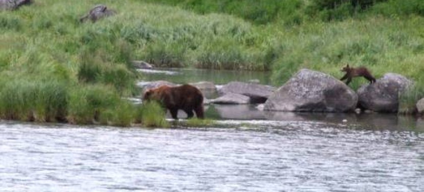 Wilderness Kayak Adventure (from Skagway)