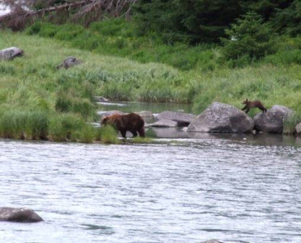 Wilderness Kayak Adventure (from Skagway) Skagway Project Expedition
