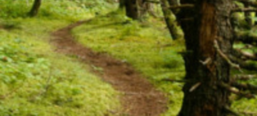 Chilkat Inlet Coastal Hike