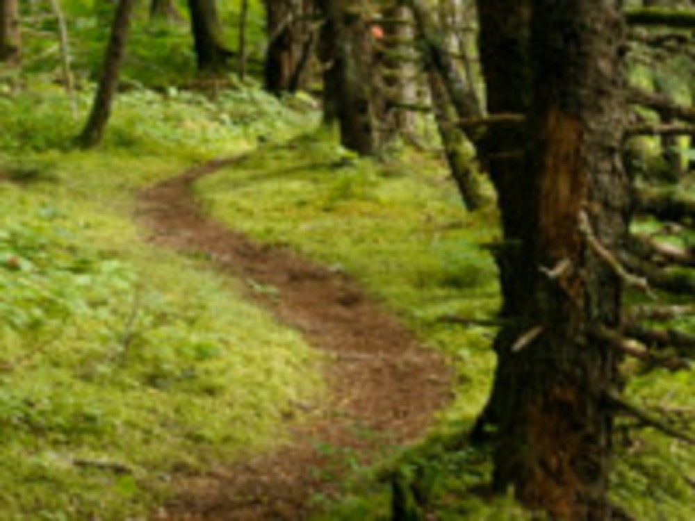 Chilkat Inlet Coastal Hike