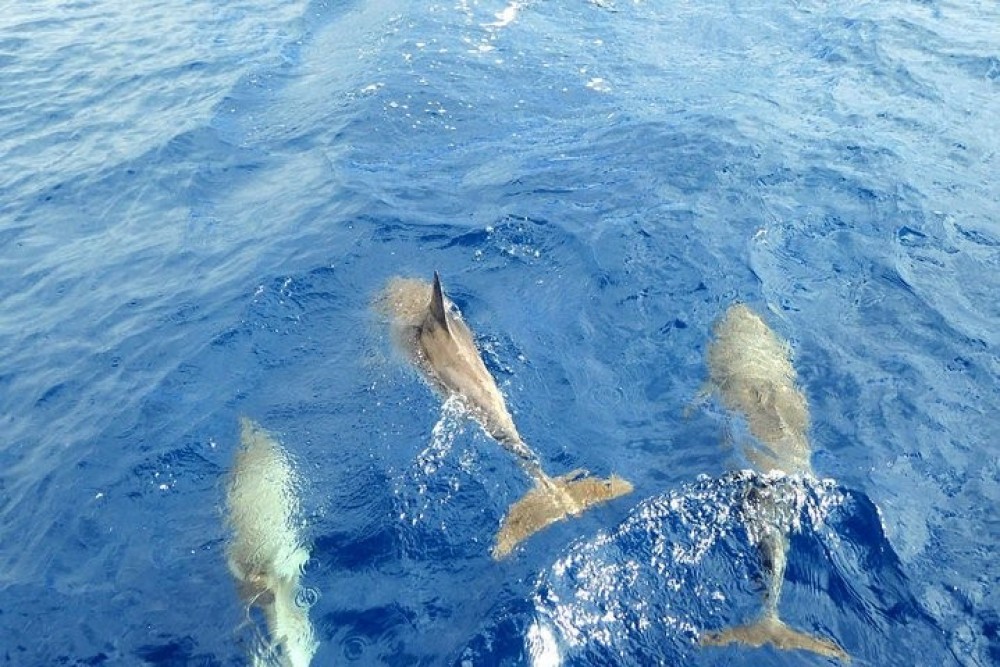 Tenerife First excursions