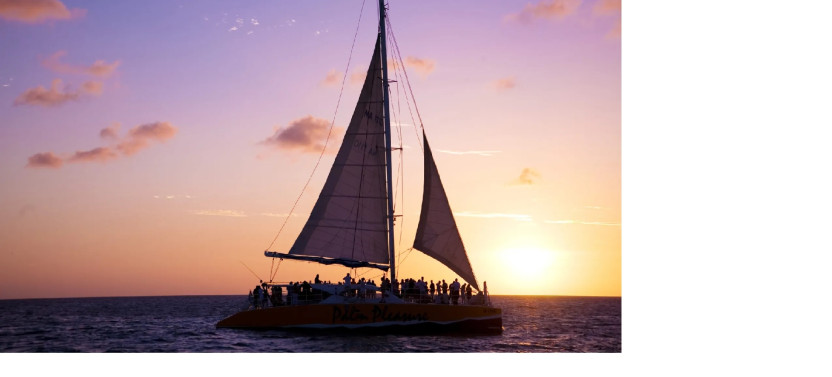 Palm Pleasure Full Moon Sail