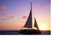 De Palm Tours Aruba3