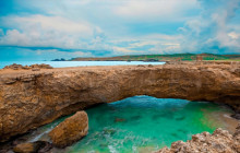 De Palm Tours Aruba3