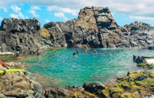 De Palm Tours Aruba2