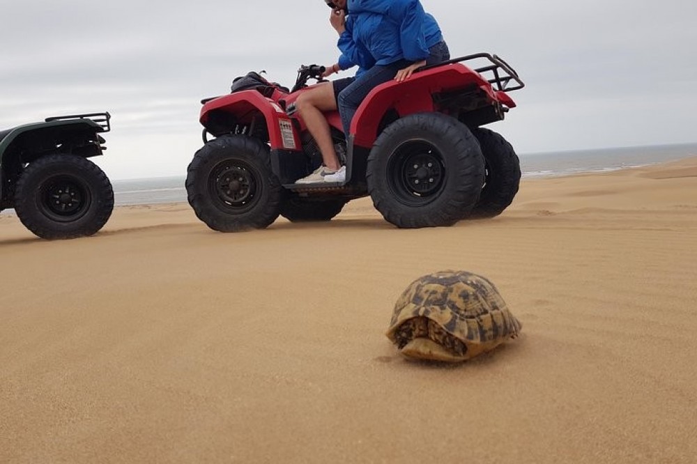 Essaouira: 2-Hour Quad Ride