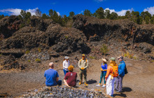 Hawaii Forest & Trail12