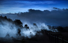 Hawaii Forest & Trail9