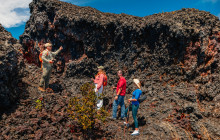 Hawaii Forest & Trail1