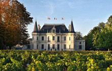 Entre Vides Bordeaux3
