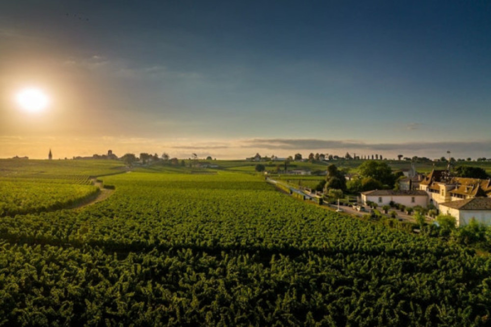 Private Saint-Émilion Village Tour & Pomerol Grand Cru Wine Tour