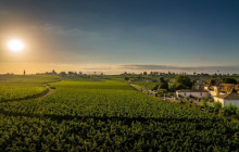 Entre Vides Bordeaux3