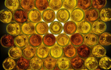 Entre Vides Bordeaux4