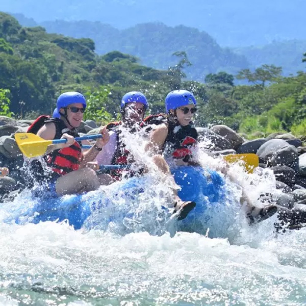Rainforest Falls & Rafting Class 2 & 3