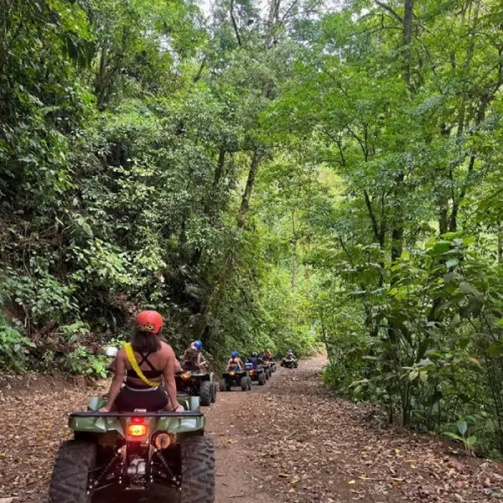 Rainforest Falls & ATV