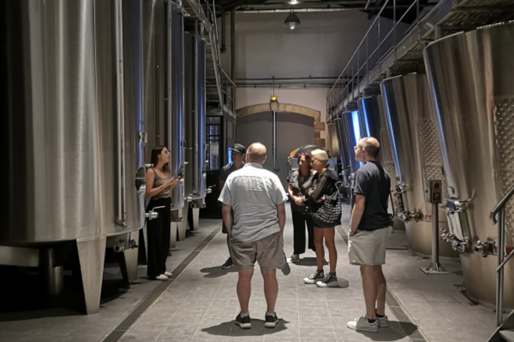 Bordeaux Wine Tour Off the Beaten Path Wineries with Tastings