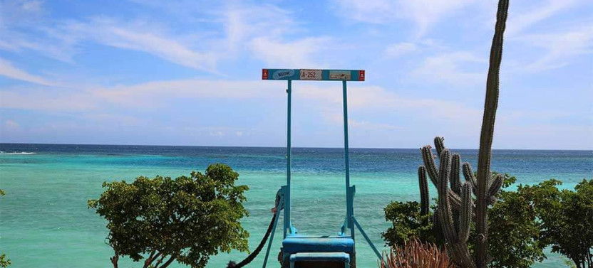 Aruba Art, Beach and Culture Tour