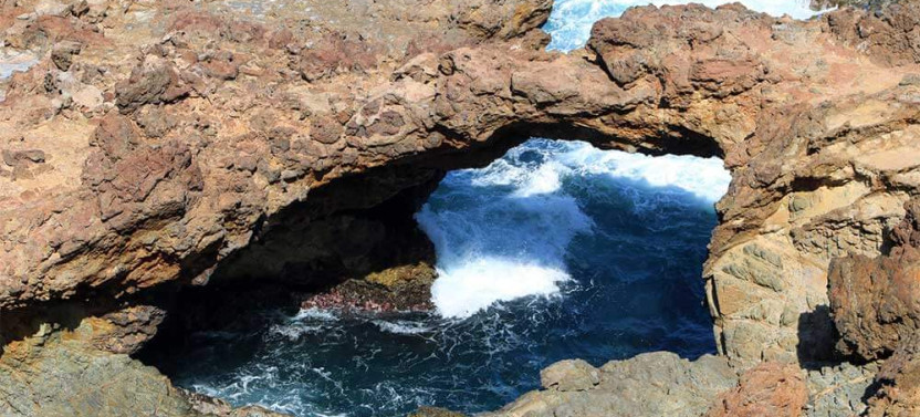 Aruba Art, Beach and Culture Tour