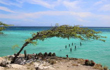 Kini Kini Transfer & Tours4