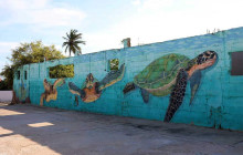 Kini Kini Transfer & Tours5