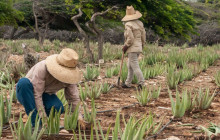 Kini Kini Transfer & Tours1