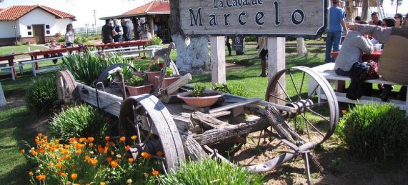 Ojos Negros Valley Wine and Cheese Route Tour in Baja California