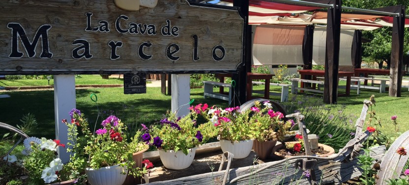 Ojos Negros Valley Wine and Cheese Route Tour in Baja California