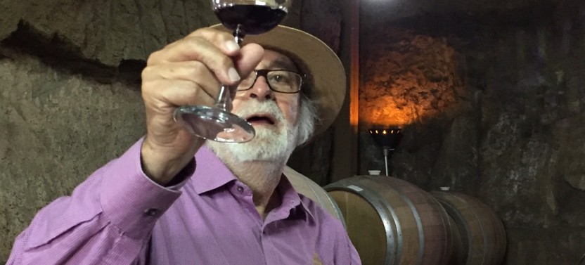 Guadalupe Valley Wine Route Tour In Baja California