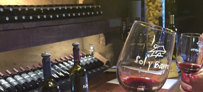 Guadalupe Valley Wine Route Tour In Baja California