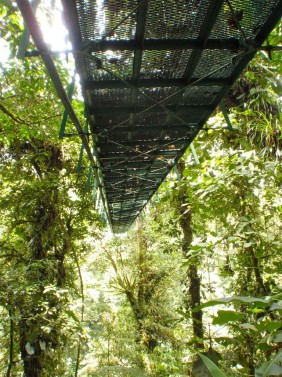 Unguided - Sky Adventures Hanging Bridges in Monteverde