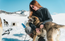 TEMSCO Helicopters, Inc.16