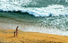 4 Day - Kerala Tour With Private Houseboat & Transportation