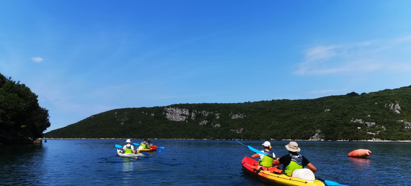 Full-Day Lim Bay Sea Kayaking Adventure with Transfer from Poreč and Vrsar