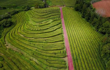 Azores Islands Experience5