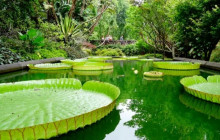 Azores Islands Experience7