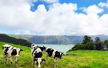 Azores Islands Experience5