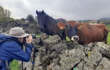 Azores Islands Experience7