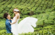 5 Day - Private Kerala Honeymoon Special w. Treehouse & Houseboat