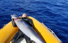 Azores Islands Experience6