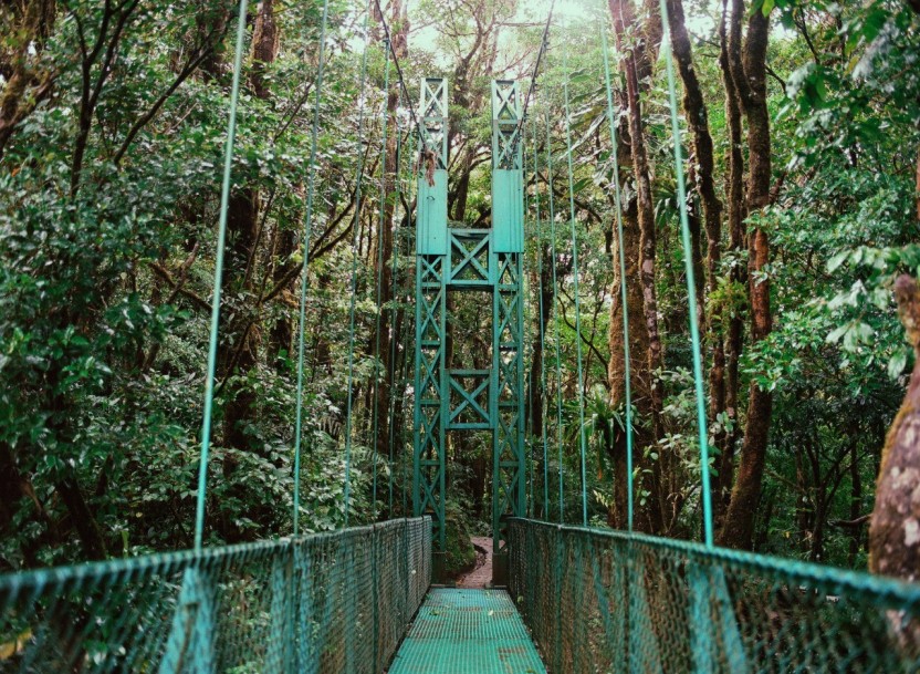 Sky Adventures Gondola with Guided Hanging Bridges Monteverde