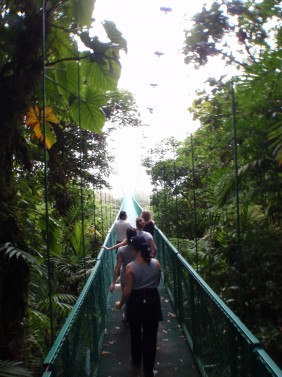 Guided - Sky Adventures Monteverde Hanging Bridges