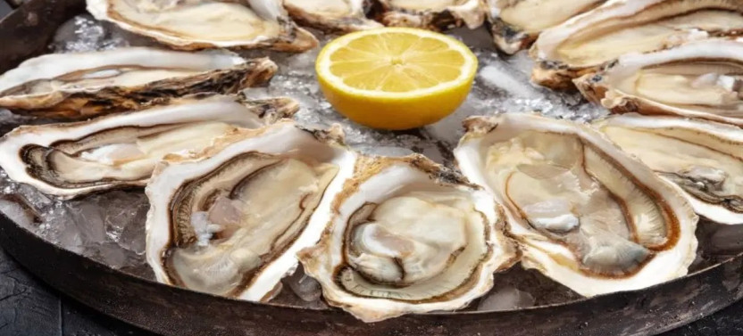Halifax Harborfront Food Walking Tour