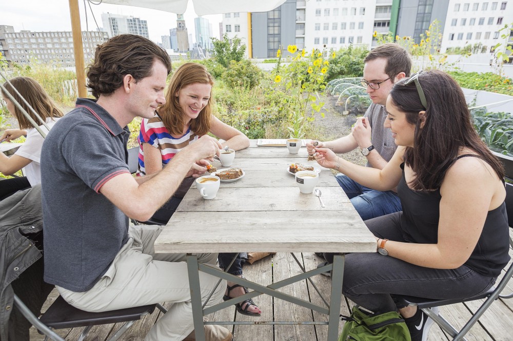 Rotterdam: Hike & Bite Food Tour