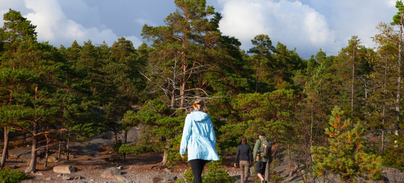 Archipelago Excursion