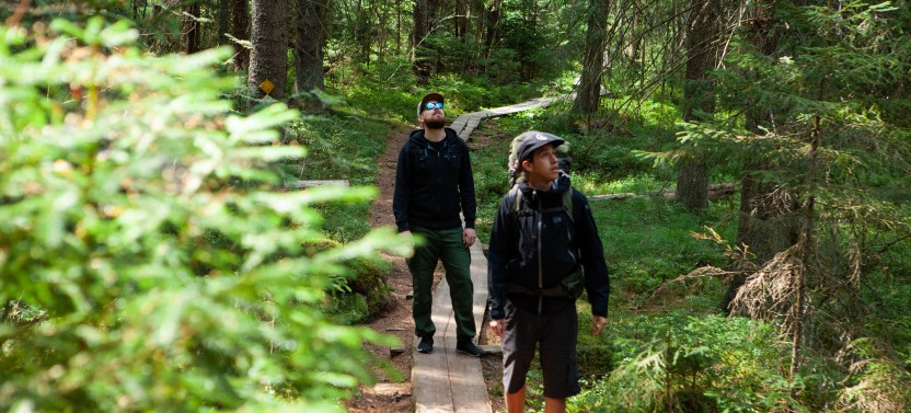 Magical Taiga Forest Hike