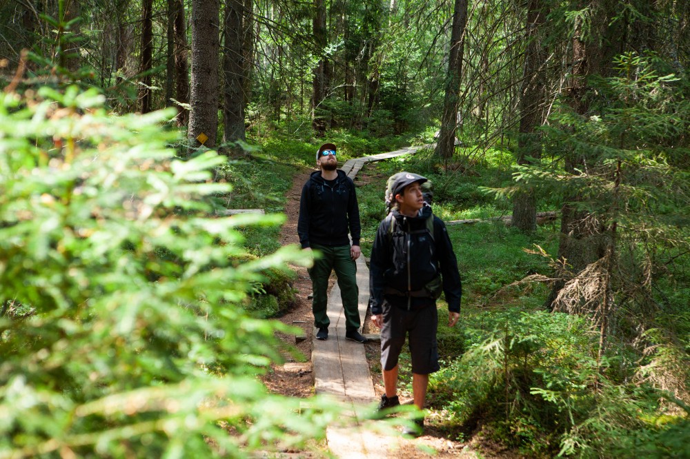 Magical Taiga Forest Hike